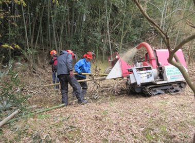 チッパーによる除伐竹の処理