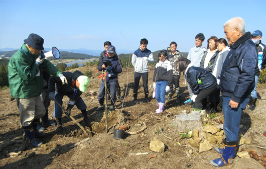 活動のひとつ 植樹方法の説明中(指宿スカイライン千本桜の森)
